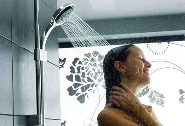 5 MẸO LỰA CHỌN SEN CÂY CAO CẤP, TRÁNH HÀNG GIẢ HÀNG NHÁI